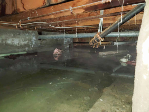 Professional Water damage restoration in Warren, OH