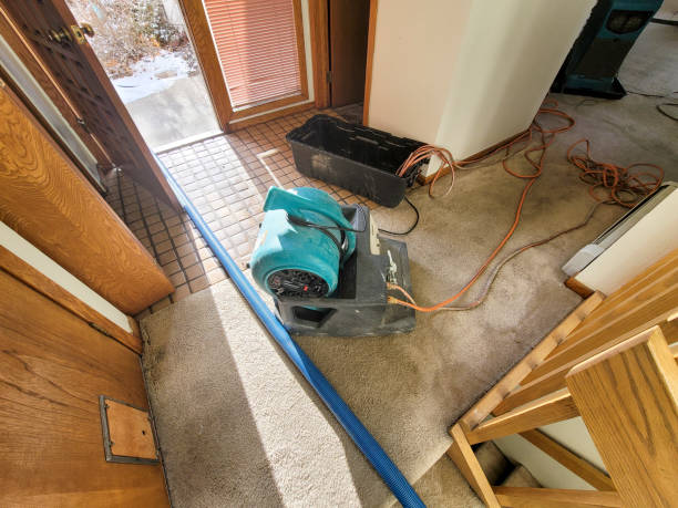 Best Commercial water damage restoration  in Warren, OH