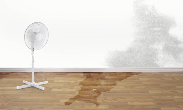 Best Sewage cleanup and water damage restoration  in Warren, OH